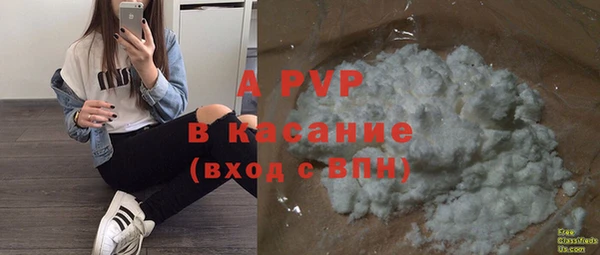 ECSTASY Богородицк