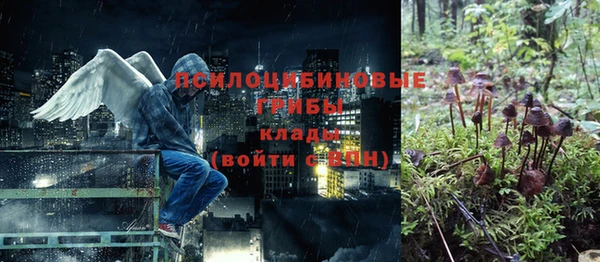 прущий лед Богданович