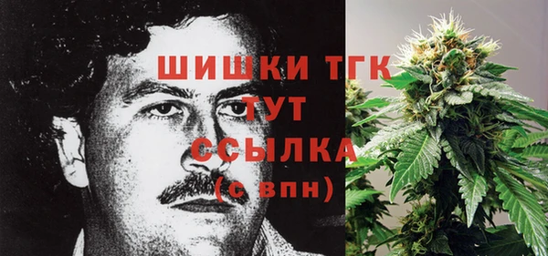 прущий лед Богданович