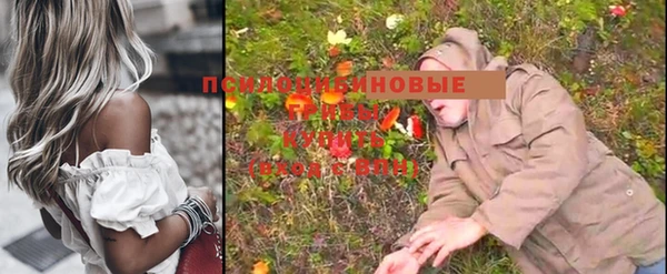 прущий лед Богданович