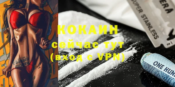 прущий лед Богданович