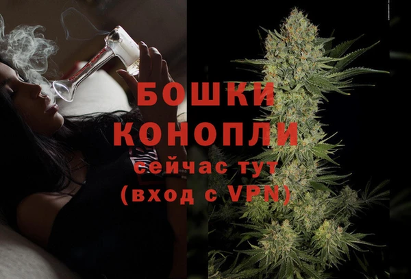 ECSTASY Богородицк