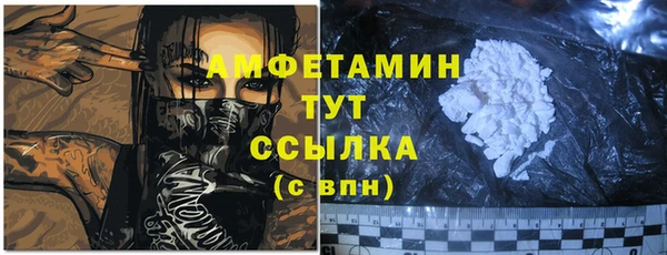 ECSTASY Богородицк