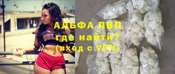 ECSTASY Богородицк