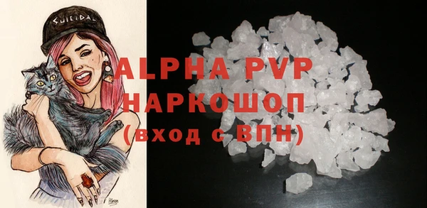 ECSTASY Богородицк
