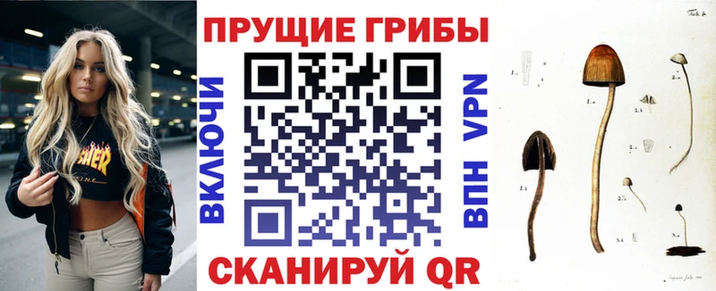 наркота  Вельск  Галлюциногенные грибы мухоморы 